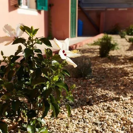 Caligo Incantevole A Due Passi Dal Mare * Bordighera